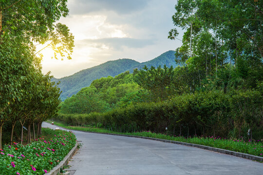 城市郊区的沥青道路