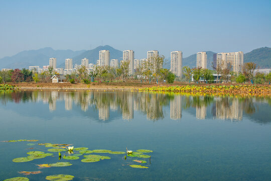 小区环境