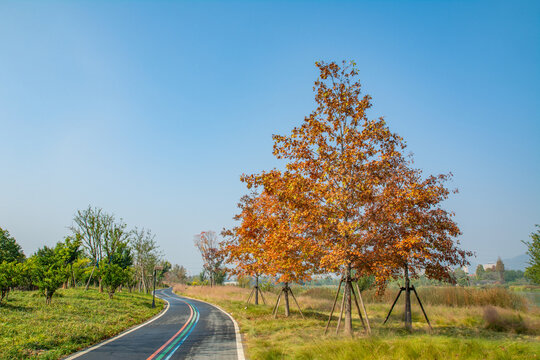 杭州富阳阳陂湖公园