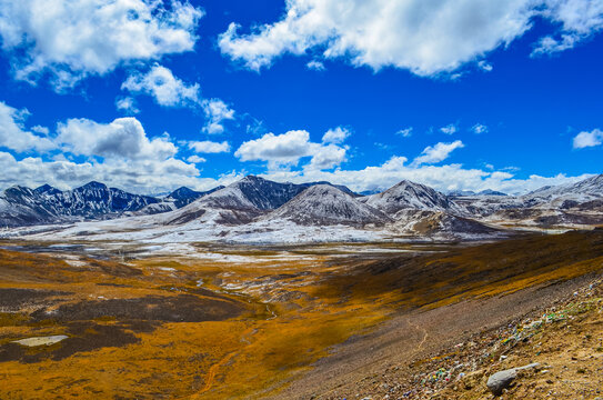 米拉山风光