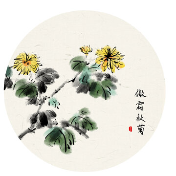 手繪中國畫菊花