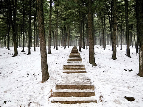 林海雪域