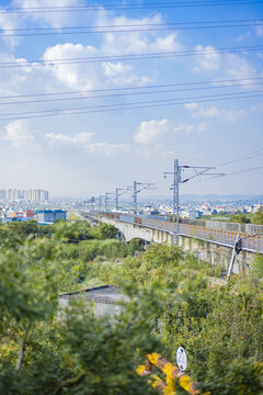 石榴树和铁路