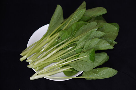 菜心