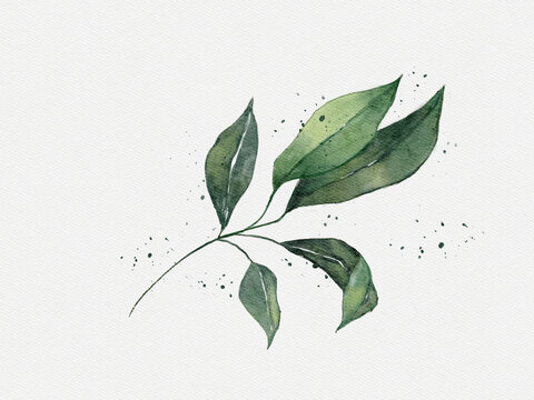 手繪插畫