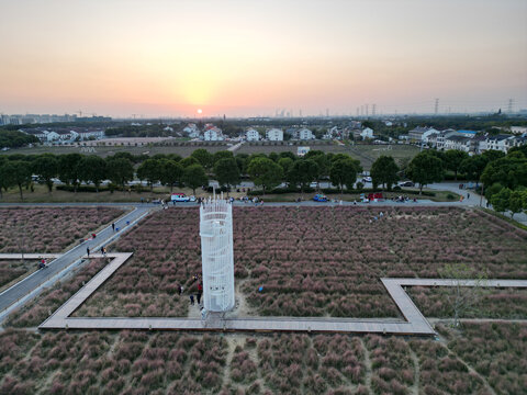 冯梦龙村花海