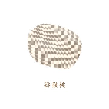 獼猴桃