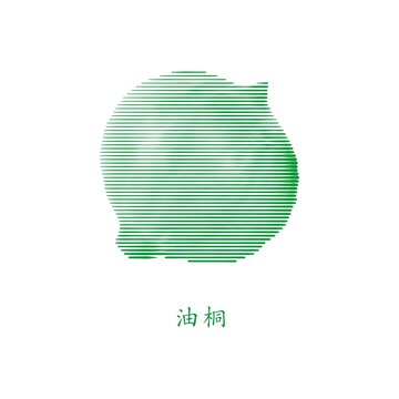 油桐