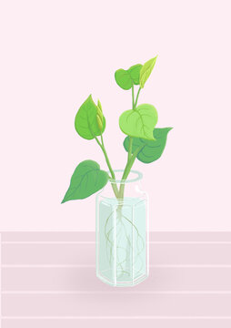 插画绿萝花瓶静物手绘植物挂画
