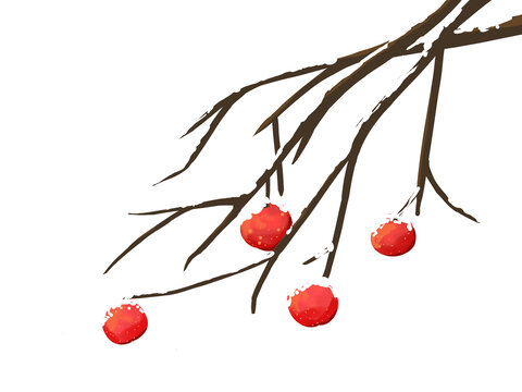 红色落雪的树枝果子