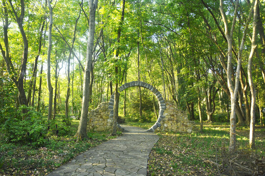 阳光树林小路美景