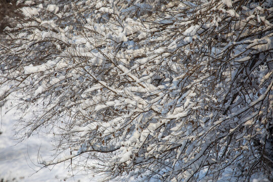 中国东北吉林市松花江畔雪景