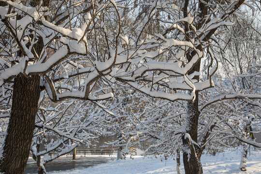 中国东北吉林市松花江畔雪景