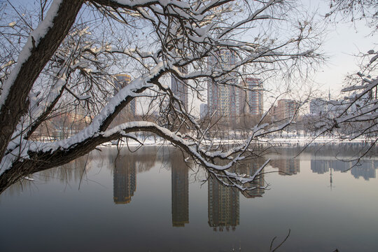 中国东北吉林市松花江畔雪景