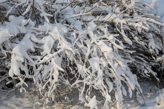 中国东北吉林市松花江畔雪景