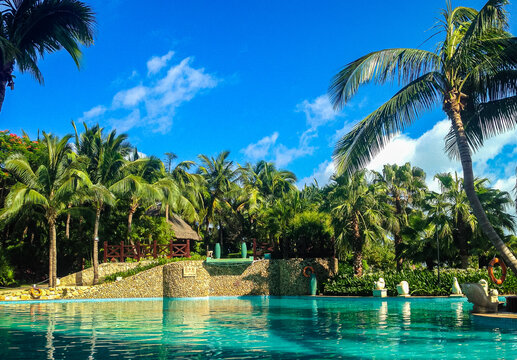 热带酒店椰林