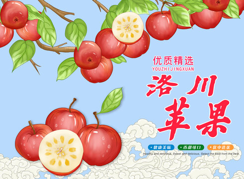 洛川蘋果包裝插畫