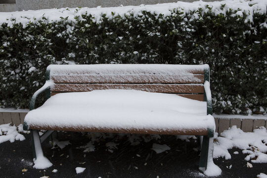 雪中长椅