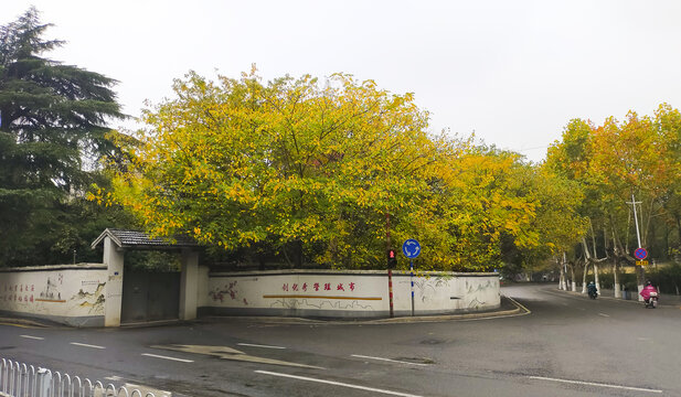 雨中小院