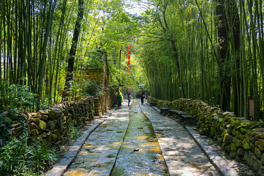 沂南竹泉村竹林石板小路