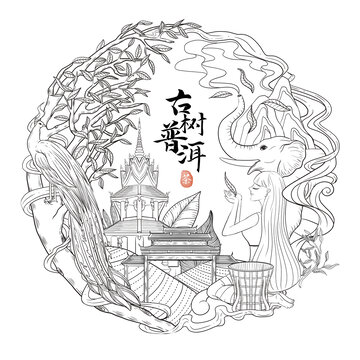 云南古樹普洱茶餅包裝插畫線稿