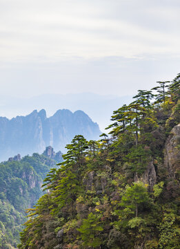 安徽黄山风景区自然风光