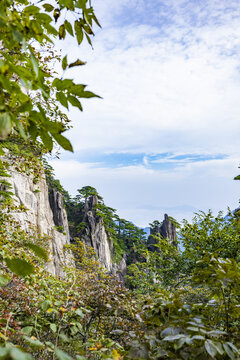 安徽黄山风景区自然风光