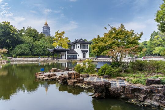 常州红梅公园风景