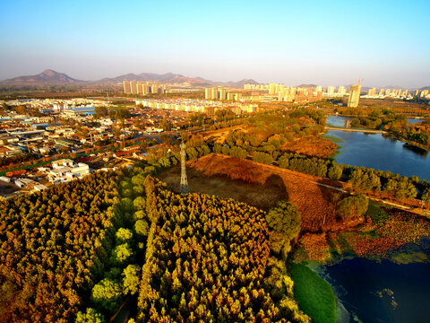 莒南鸡龙河湿地公园风光