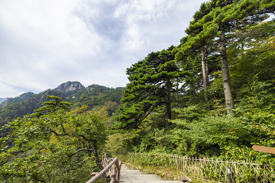 黄山自然风景区的山间通道