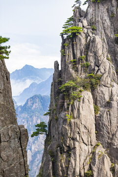 安徽黄山风景区自然风光