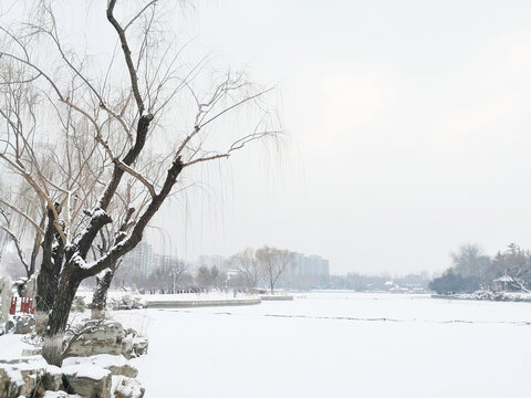 雪景