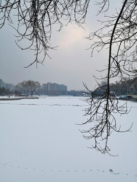 雪景