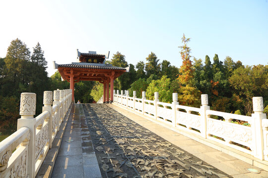 武汉东湖落雁岛景区