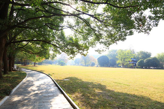 武汉东湖落雁景区