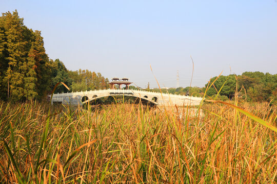 武汉东湖落雁景区