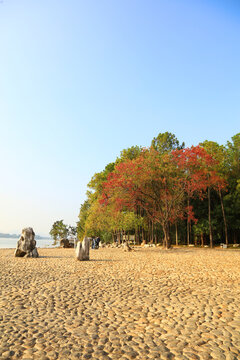 武汉东湖落雁景区