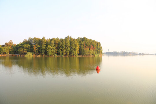 武汉东湖落雁景区