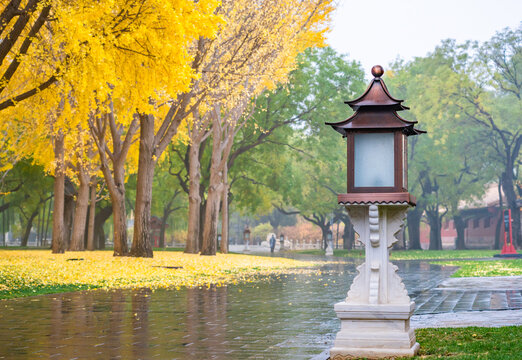 北京故宫秋色的风景