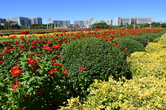 花海