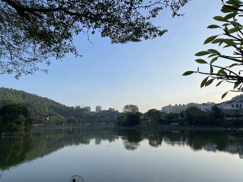 湖景小区风景迷人