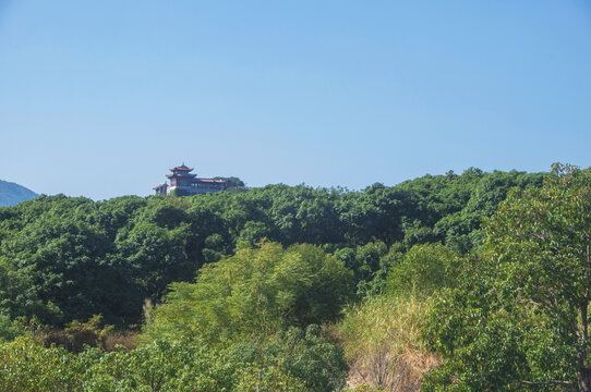 漳州凤凰山荔枝海风景