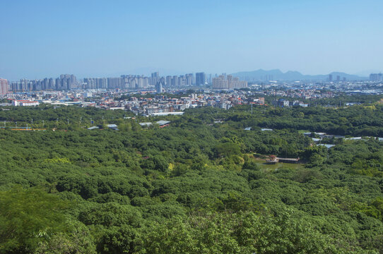 漳州荔枝海航拍景色