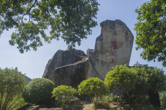 漳州凤凰山母鸡石景观