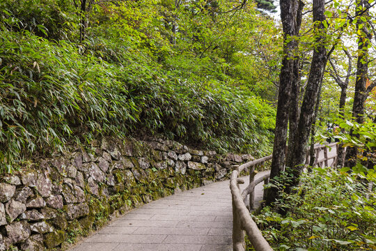 黄山自然风景区的山间通道