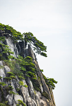 安徽黄山风景区自然风光