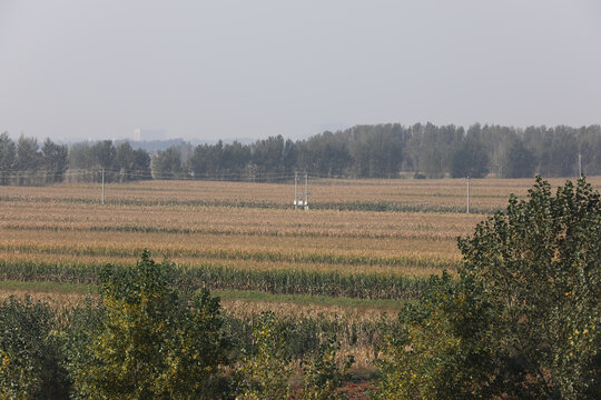 秋季田野