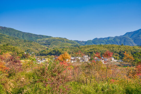 塔川秋韵