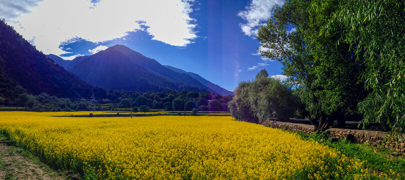 蓝天下的大山与森林