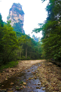 金鞭溪景区